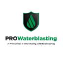 PRO WaterBlasting  logo